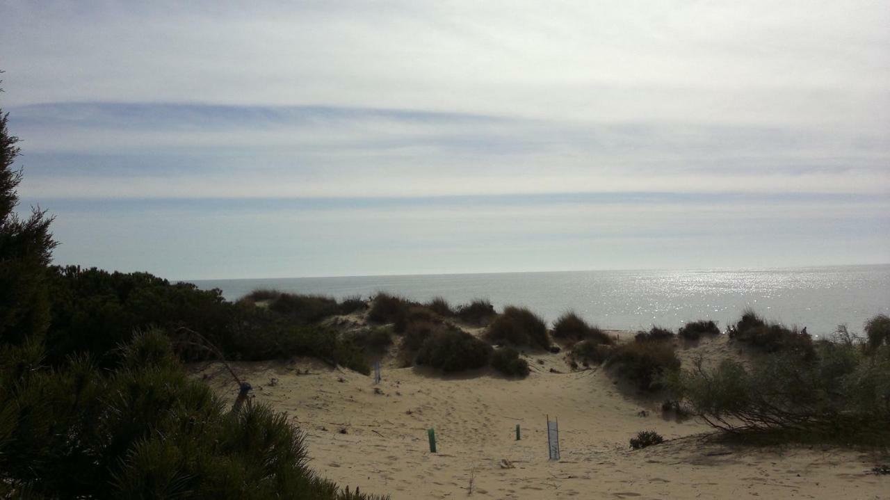 Duplex En Huelva A 15 Minutos En Coche De Las Mejores Playas De Espana Ngoại thất bức ảnh